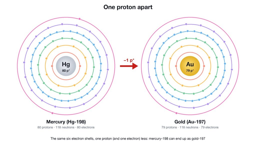 Diagrams of a mercury-198 atom with 80 protons and a gold-197 atom with 79 protons, both with 118 neutrons and six electron shells, linked by an arrow marked minus one proton.