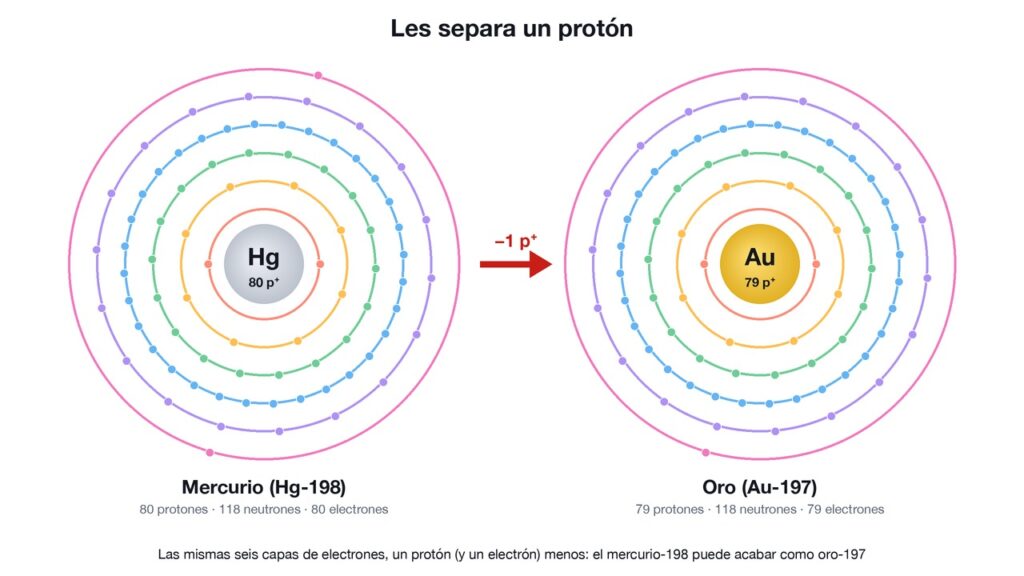 Esquemas de un átomo de mercurio-198 con 80 protones y de un átomo de oro-197 con 79 protones, ambos con 118 neutrones y seis capas de electrones, unidos por una flecha que indica un protón menos.